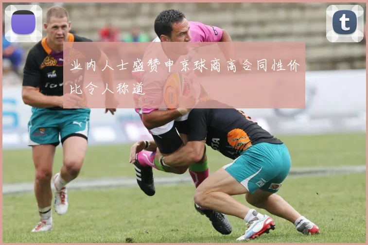 业内人士盛赞申京球商高合同性价比令人称道
