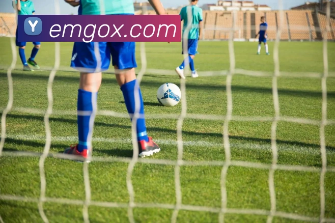 奖项证书